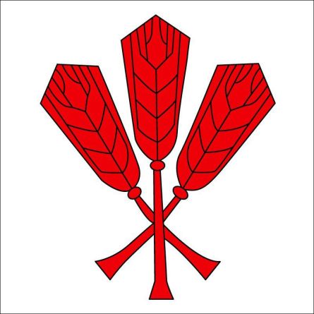 Saules BE flag